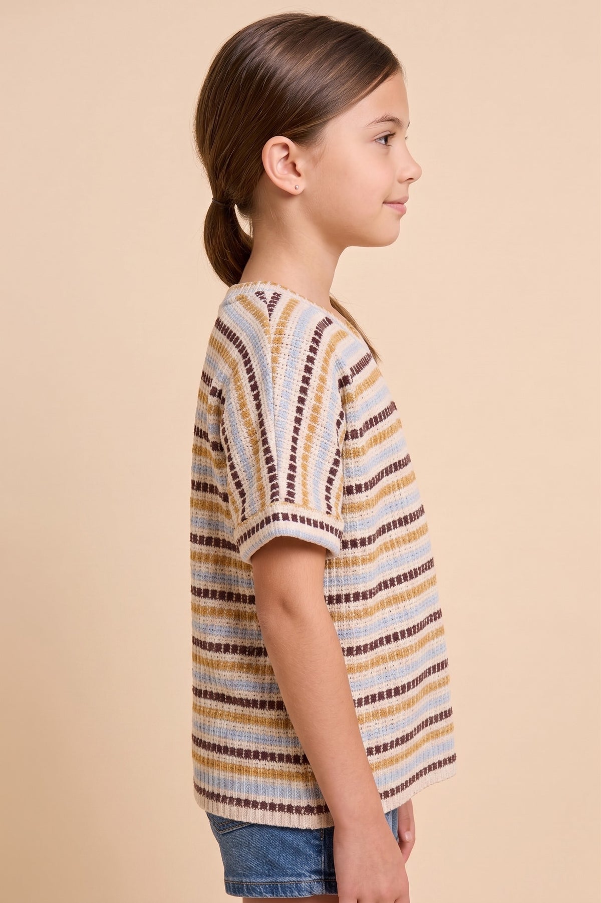 Brown Stitch Stripe T Shirt