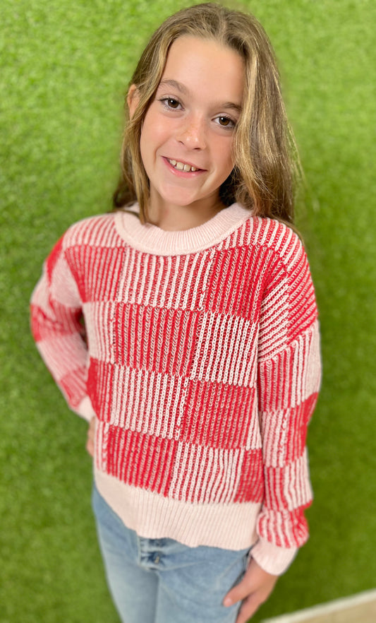 Pink/Red Checker Chenille Sweater