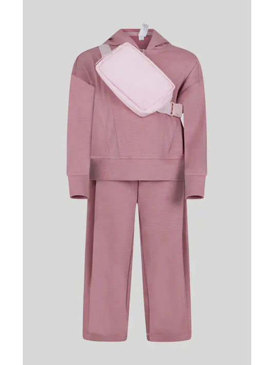 Toddler Pink Plum/Blossom Half Zip Hoodie, Pant Set
