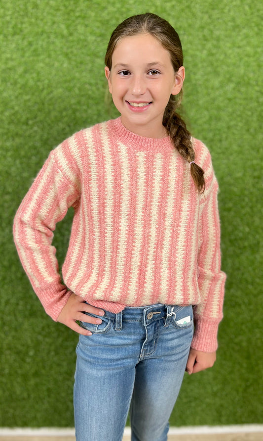 Textured Stripe Crew Neck Sweater