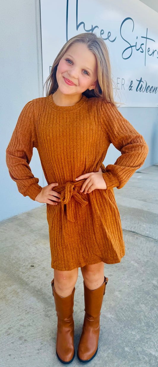 Brown Ribbed Dress with Tie