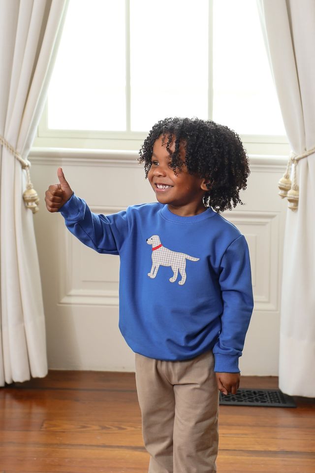 French Terry Pullover, Dog