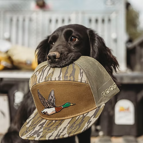 Youth Roost Bottomland Duck Hat
