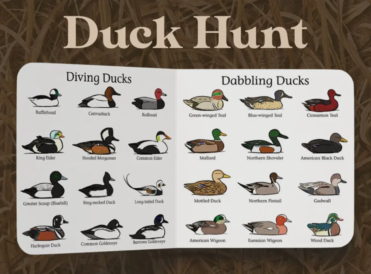 Children's Book, Duck Hunt