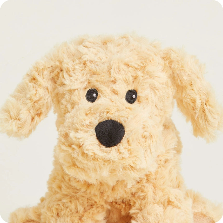 Junior Warmie, Golden Dog