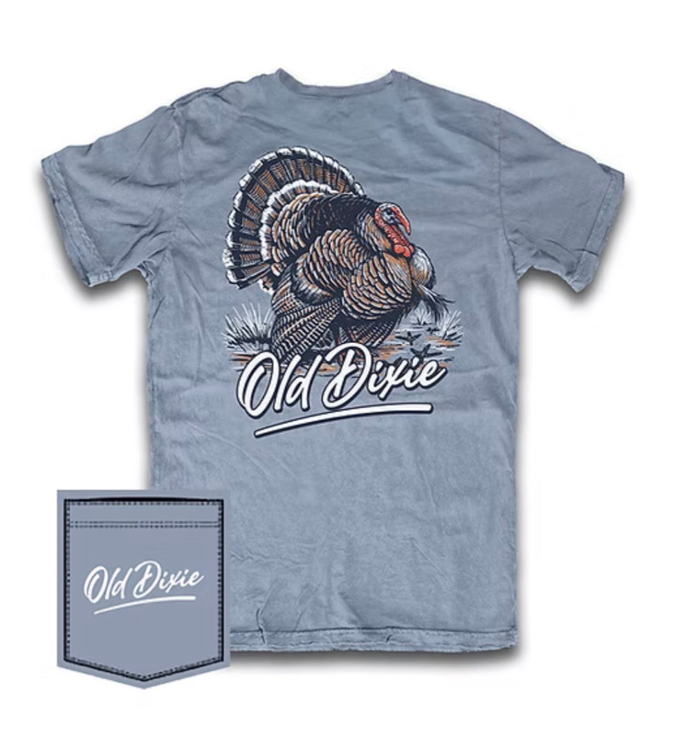 Saltwater Old Dixie Longbeard Tee