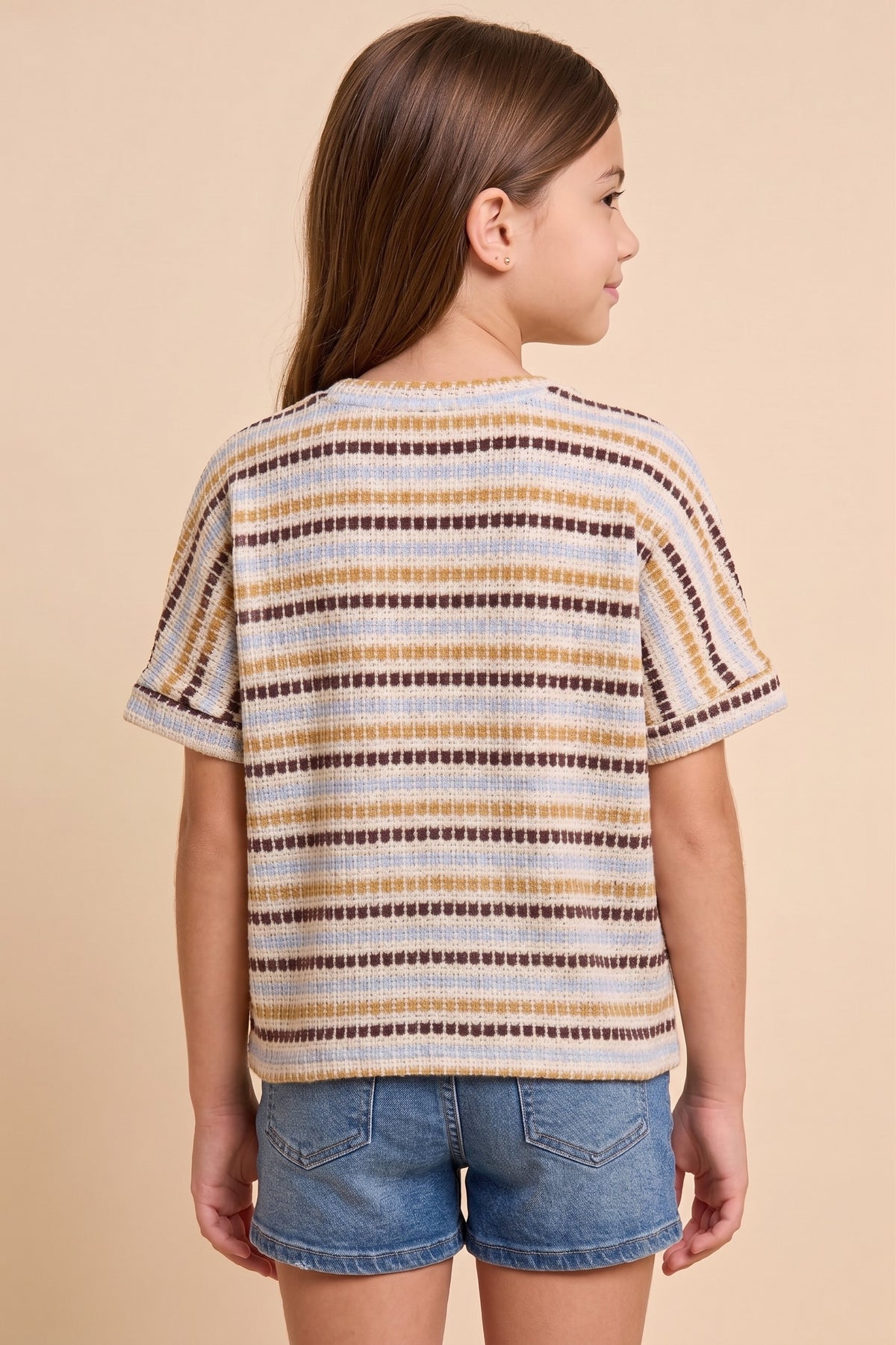 Brown Stitch Stripe T Shirt