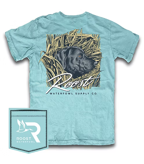 Chalky Mint Stealth Mode T Shirt