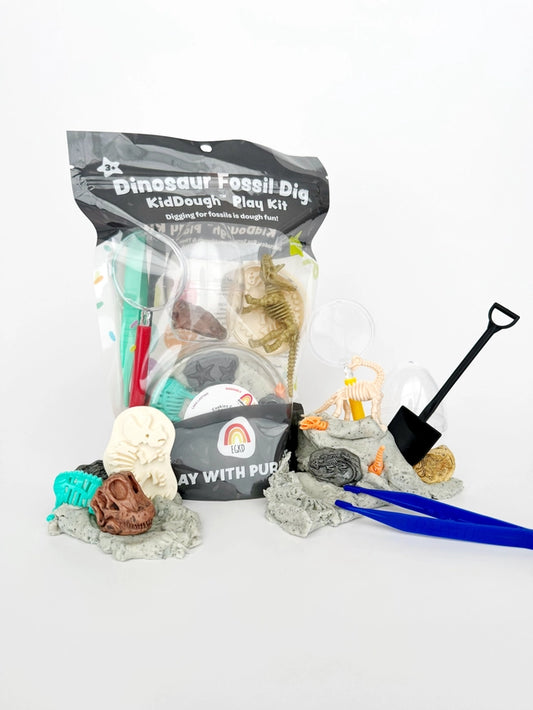 Dinosaur Fossil Dig Playdough kit