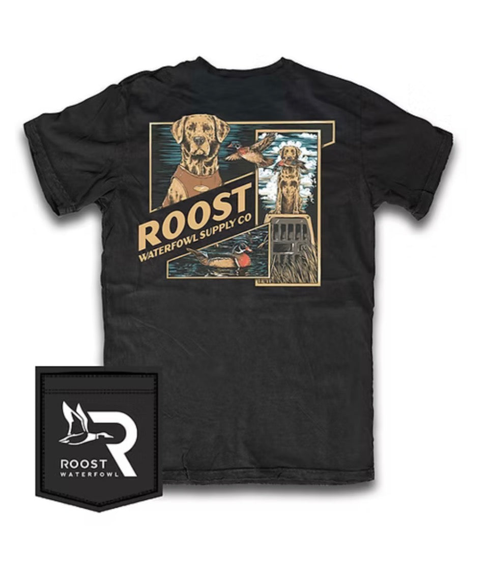 Black Roost Flyway Frames Tee