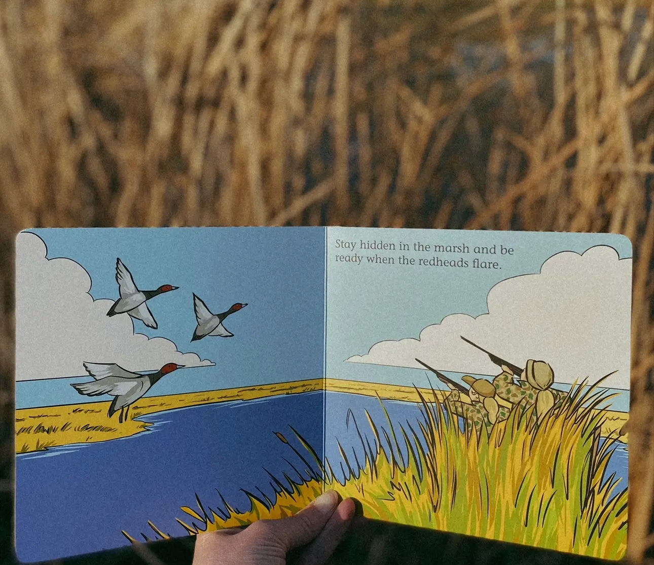 Children's Book, Duck Hunt
