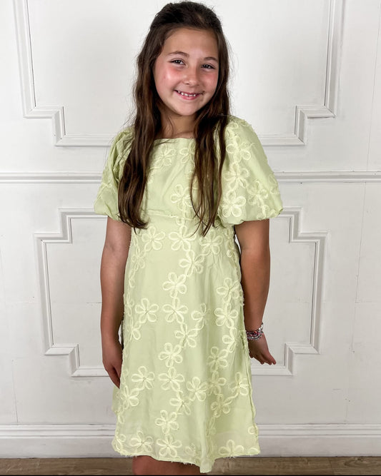 Sage Floral Embroidered Puff Sleeve Dress