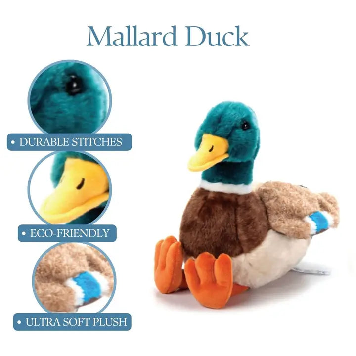 12" Mallard Duck