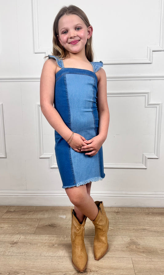 Denim Ruffle Dress