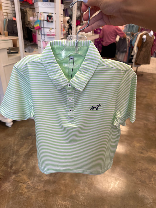 Lime Marshall Polo