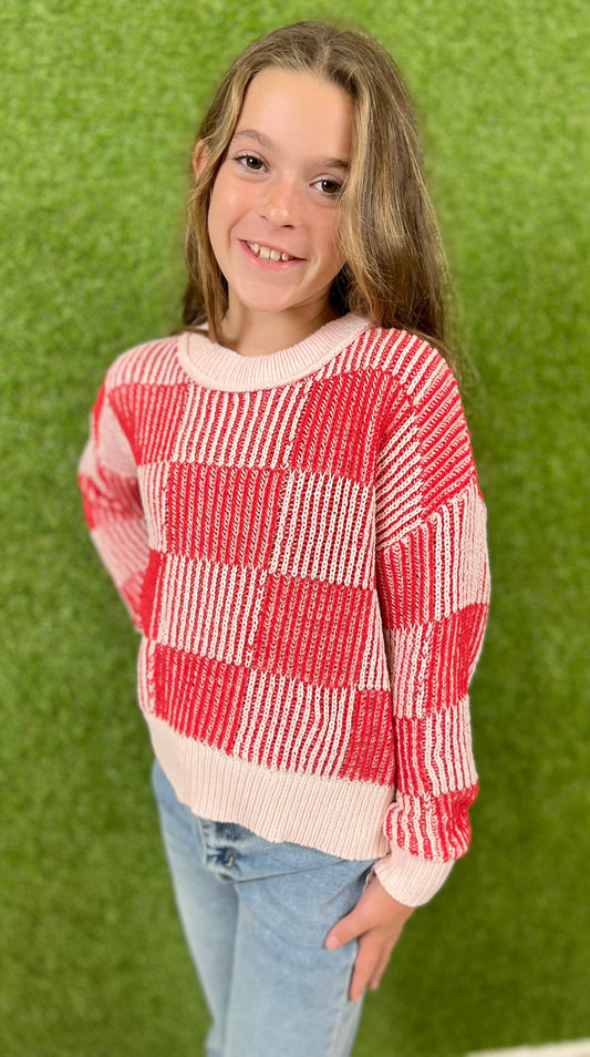 Pink/Red Checker Chenille Sweater