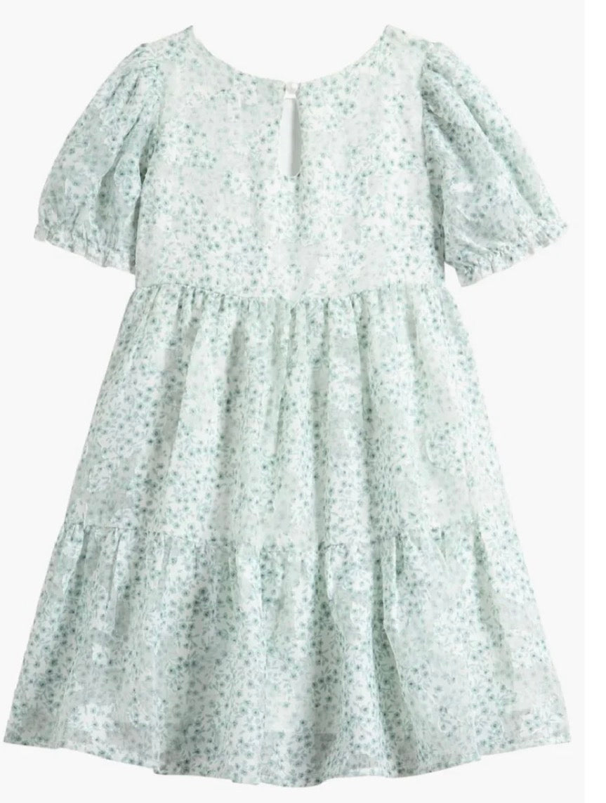 Sage Printed Puff Sleeve Babydoll Dress