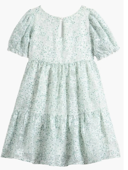 Sage Printed Puff Sleeve Babydoll Dress