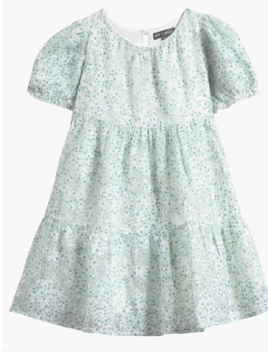 Sage Printed Puff Sleeve Babydoll Dress