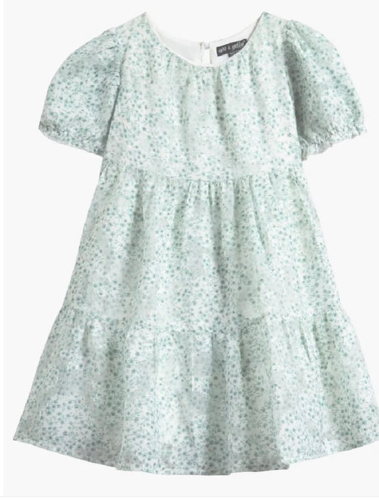Sage Printed Puff Sleeve Babydoll Dress