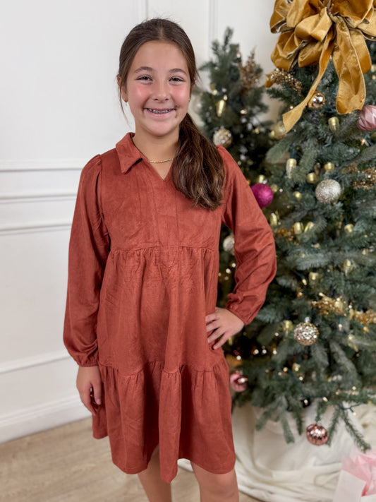 Rust Suede Dress