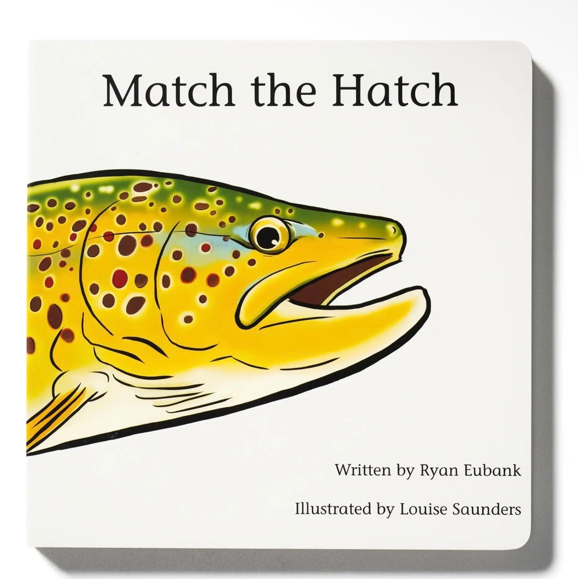 Match the Hatch Children's Book