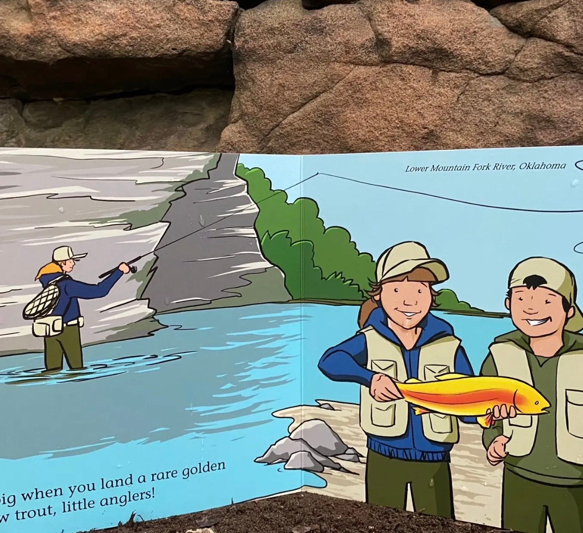 Match the Hatch Children's Book