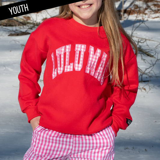 Lulu Mac Pullover , Pink With Red Gingham